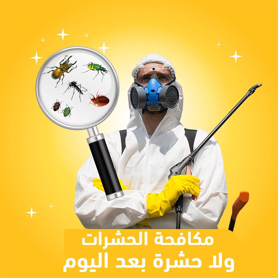 شركة رش مبيدات بالباحة 0556501701 خصم 39% مكافحة جميع الحشرات مع الضمان