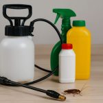 افضل شركة مكافحة حشرات الاسكندرية وجميع المحافظات 01026349766 خصم 40% لفترة محدودة