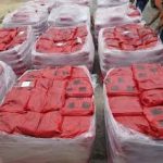 بودرة وجاء الأصلية 0556501701  – أقوى مبيد حشري + توصيل مجانا مؤسسة الكريم