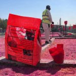 مبيد وجاء الأصلي الدمام