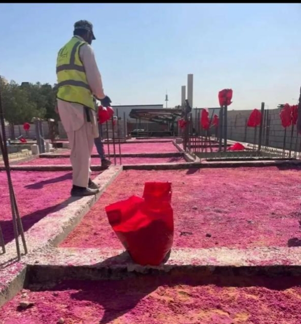 شركة وجاء للمبيدات الرياض