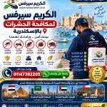 شركة مكافحة حشرات الاسكندرية واسعار تنافسية 01147382205 اطلب الخدمة الان