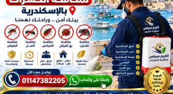 الكريم سيرفيس لمكافحة الحشرات
