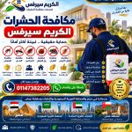 شركة مكافحة حشرات بالقاهرة الكريم سيرفيس 01147382205 خدمة احترافية بأقل الاسعار